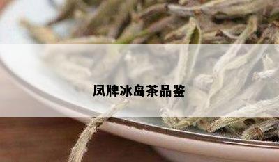 凤牌冰岛茶品鉴