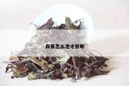 白茶怎么泡才苦呢