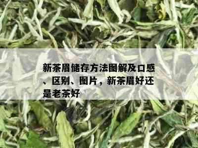 新茶眉储存方法图解及口感、区别、图片，新茶眉好还是老茶好