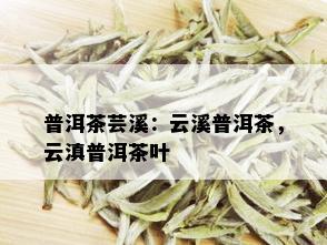 普洱茶芸溪：云溪普洱茶，云滇普洱茶叶