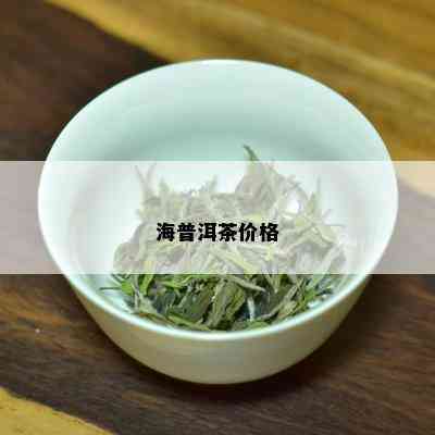 海普洱茶价格