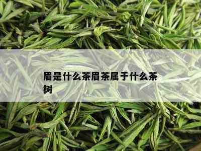 眉是什么茶眉茶属于什么茶树