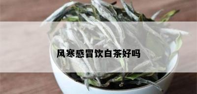 风寒感冒饮白茶好吗