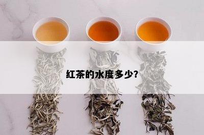 红茶的水度多少？