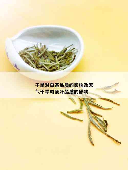 干旱对白茶品质的影响及天气干旱对茶叶品质的影响