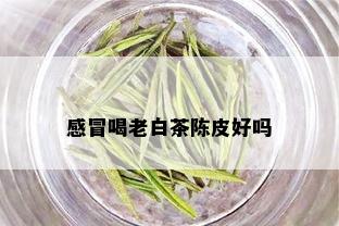 感冒喝老白茶陈皮好吗