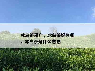 冰岛茶用户，冰岛茶好在哪，冰岛茶是什么意思