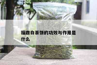 福鼎白茶饼的功效与作用是什么