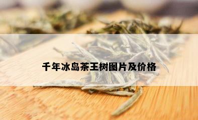 千年冰岛茶王树图片及价格