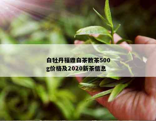 白牡丹福鼎白茶散茶500g价格及2020新茶信息