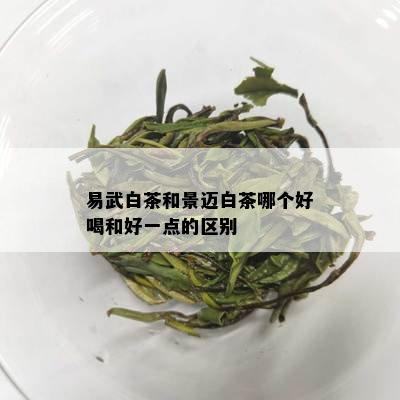 易武白茶和景迈白茶哪个好喝和好一点的区别