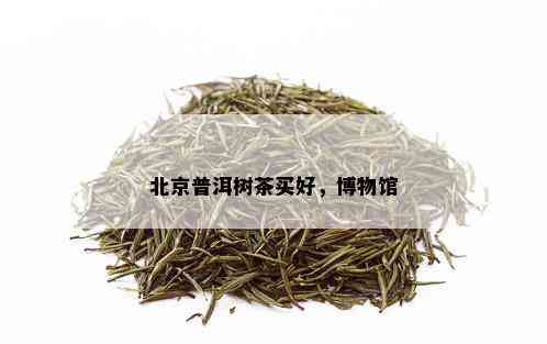 北京普洱树茶买好，博物馆