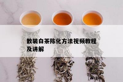 散装白茶陈化方法视频教程及讲解