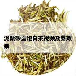 泥紫砂壶泡白茶视频及养效果