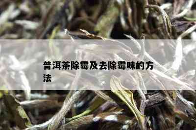 普洱茶除霉及去除霉味的方法