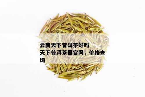 云南天下普洱茶好吗 - 天下普洱茶国官网，价格查询