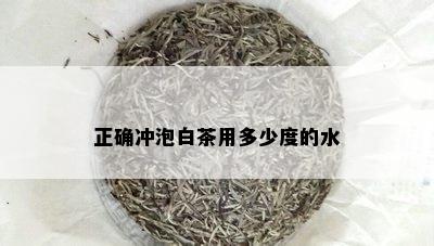 正确冲泡白茶用多少度的水