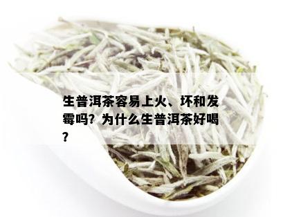 生普洱茶容易上火、坏和发霉吗？为什么生普洱茶好喝？