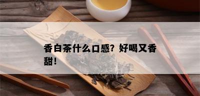 香白茶什么口感？好喝又香甜！