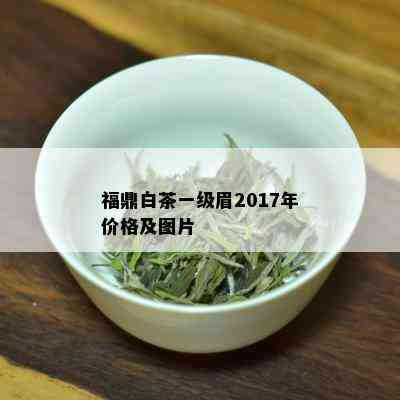 福鼎白茶一级眉2017年价格及图片