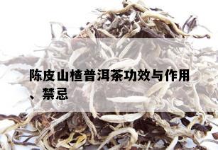 陈皮山楂普洱茶功效与作用、禁忌