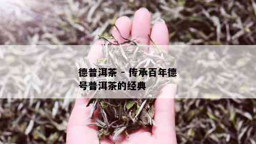 德普洱茶 - 传承百年德号普洱茶的经典