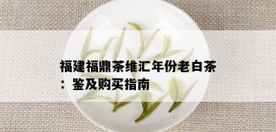 福建福鼎茶维汇年份老白茶：鉴及购买指南