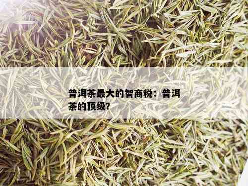 普洱茶更大的智商税：普洱茶的顶级？