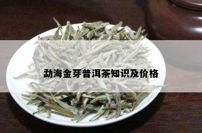 勐海金芽普洱茶知识及价格