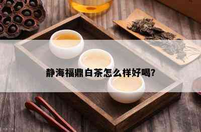 静海福鼎白茶怎么样好喝？