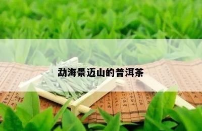 勐海景迈山的普洱茶