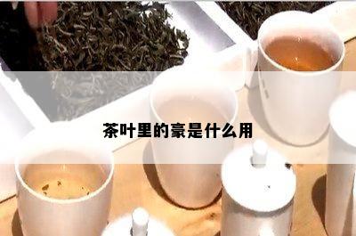 茶叶里的豪是什么用