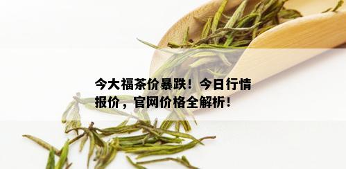 今大福茶价暴跌！今日行情报价，官网价格全解析！