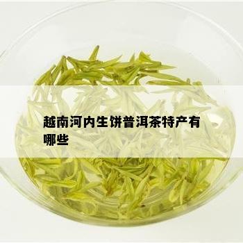 越南河内生饼普洱茶特产有哪些