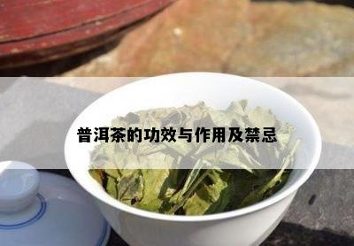 普洱茶的功效与作用及禁忌