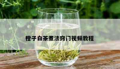 橙子白茶煮法窍门视频教程