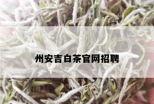 州安吉白茶官网招聘