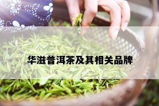 华滋普洱茶及其相关品牌