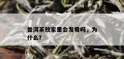 普洱茶放家里会发霉吗，为什么？