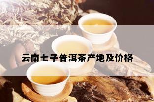 云南七子普洱茶产地及价格