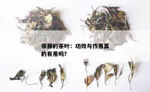 带藤的茶叶：功效与作用真的有用吗？