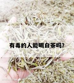 有的人能喝白茶吗？