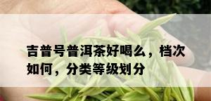 吉普号普洱茶好喝么，档次如何，分类等级划分