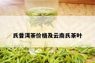 氏普洱茶价格及云南氏茶叶