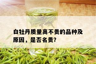 白牡丹质量高不贵的品种及原因，是否名贵？