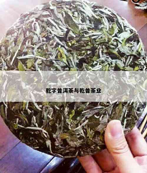 乾字普洱茶与乾普茶业