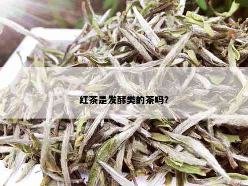 红茶是发酵类的茶吗？