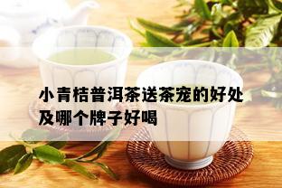 小青桔普洱茶送茶宠的好处及哪个牌子好喝