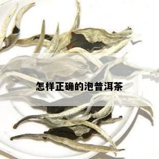 怎样正确的泡普洱茶