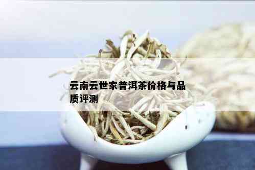 云南云世家普洱茶价格与品质评测